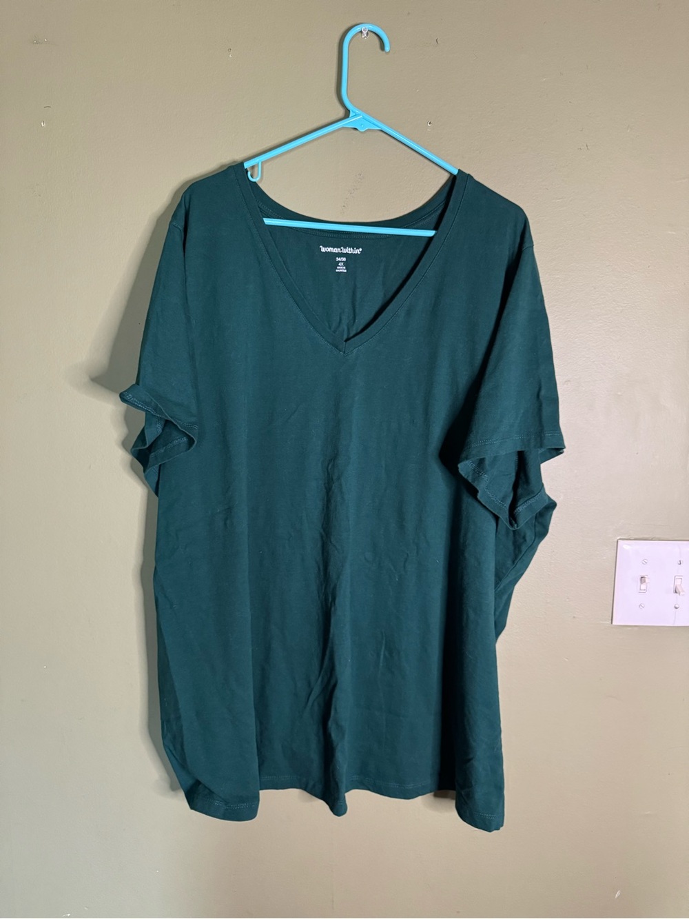 Woman Within V-Neck Tee